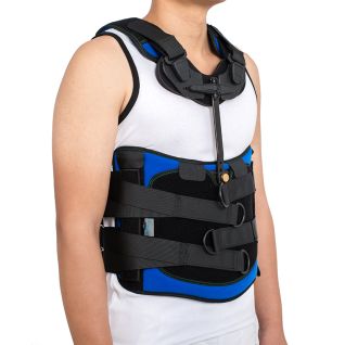 TJ-406(1) Lumbar Support